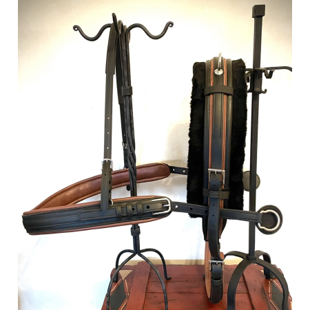 Best skijoring harness outlet